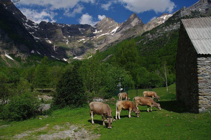 Bungalows Pena Montanesa Aínsa Buitenkant foto